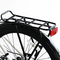 roda elétrica do poder superior dois da bicicleta 750w de City Road da longa distância 25km/H