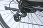 12&quot; pneu gordo da bicicleta elétrica portátil para 350 libras 400 bicicleta da pessoa 200w E da libra