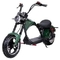 Pneumático gordo Citycoco Harley Scooter elétrico 1000w 60v 2000w para adultos