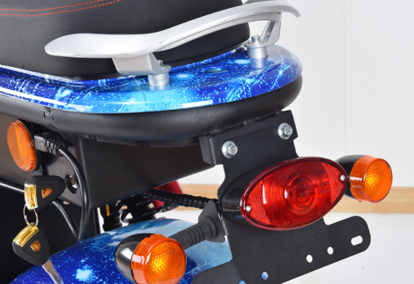 "trotinette" elétrico do pneu de Citycocofat para os adultos 1000w 2000w 3000w 1500W 9
