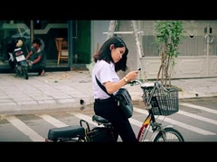 250w baixo custo 48v display lcd cidade bicicleta elétrica da sujeira ue 20 polegada 36v bicicleta elétrica